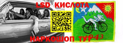 индика Пенза