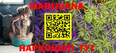 индика Пенза