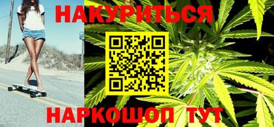 индика Пенза