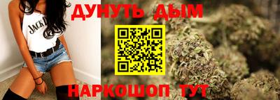 индика Пенза