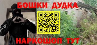 индика Пенза