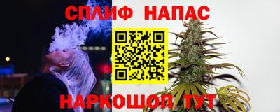 индика Пенза