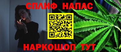 индика Пенза
