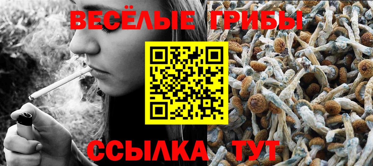 дарнет шоп  Псилоцибиновые грибы Cubensis  Вход с VPN  Рубцовск 